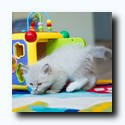 Ilon_DSC1101.jpg