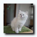 Inessa_DSC1731.jpg